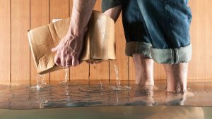 Casco winchester plumber va, well pump services