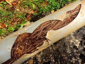 Sewer line replacement service